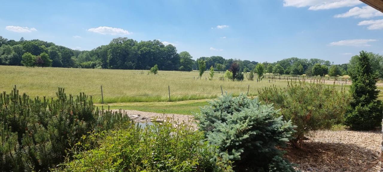 Villa Ranc Orlice Třebechovice pod Orebem Exterior foto