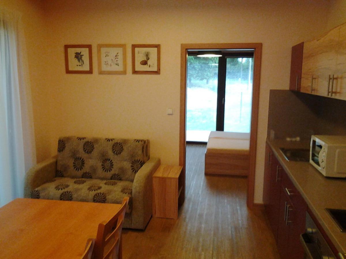 Villa Ranc Orlice Třebechovice pod Orebem Exterior foto